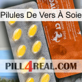 Pilules De Vers À Soie 42